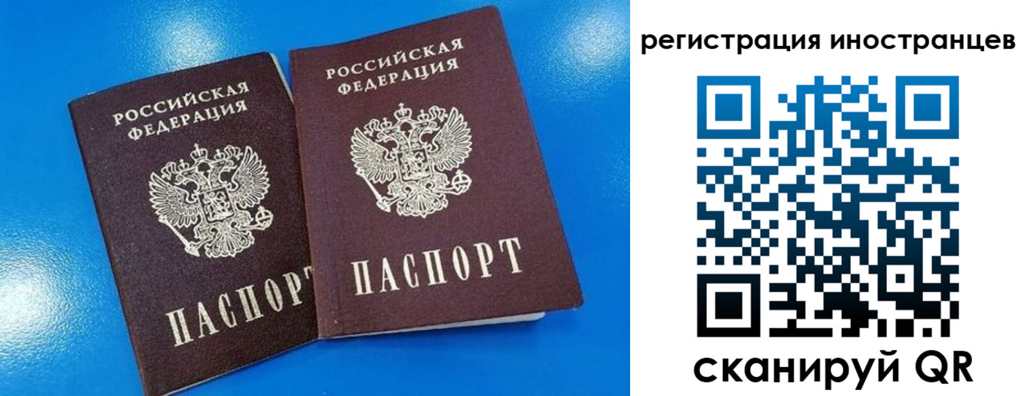 временная регистрация поиск в Курчатове