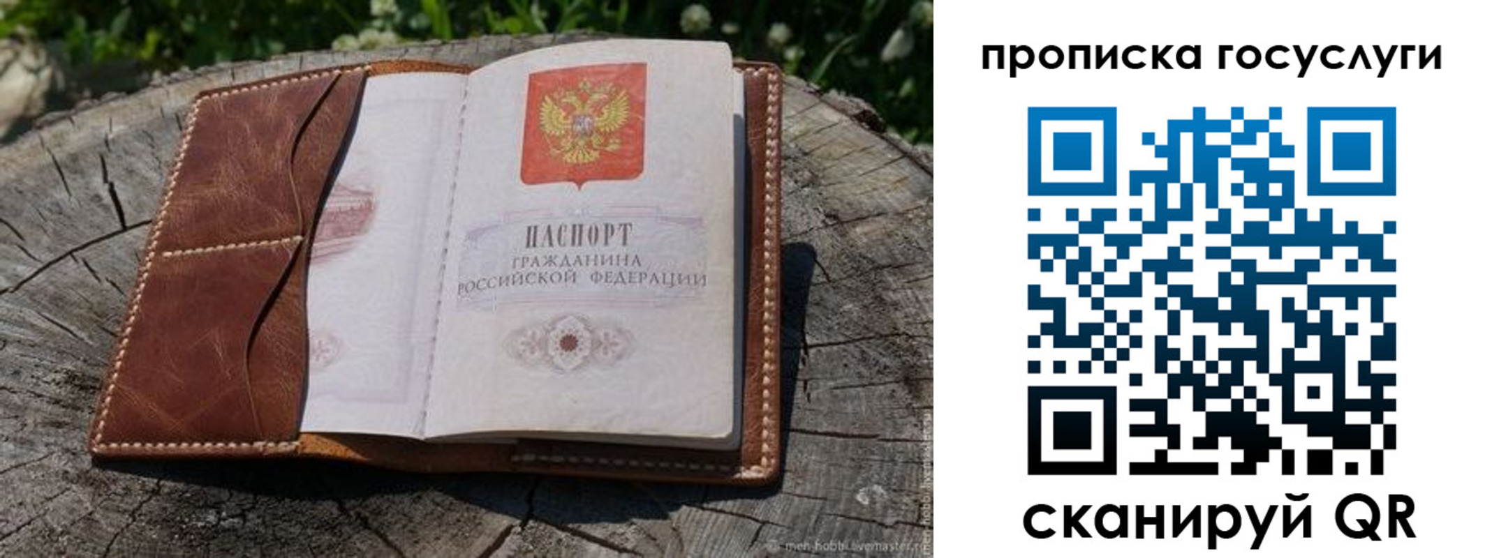 прописка для школы в Курчатове